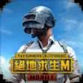 pubg国际服手游地铁逃生官方版更新